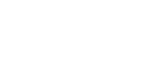 ROSA brain